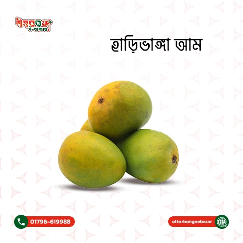 হাড়িভাংগা আম (১০কেজি)