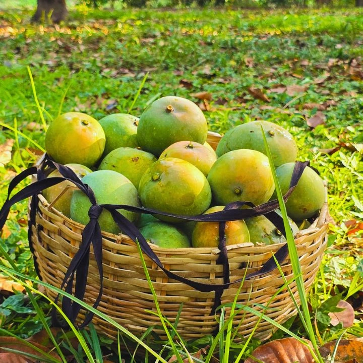গোবিন্দোভোগ আম (২২কেজি)