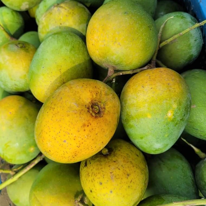 হিমসাগর আম (২২কেজি)